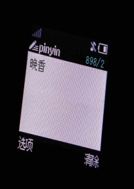晚香玉的养殖方法和注意事项盆栽